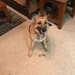 Meet your Posher, Jon